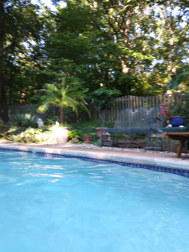 Grocery Store «Food Lion», reviews and photos, 13490 Dumfries Rd, Manassas, VA 20112, USA