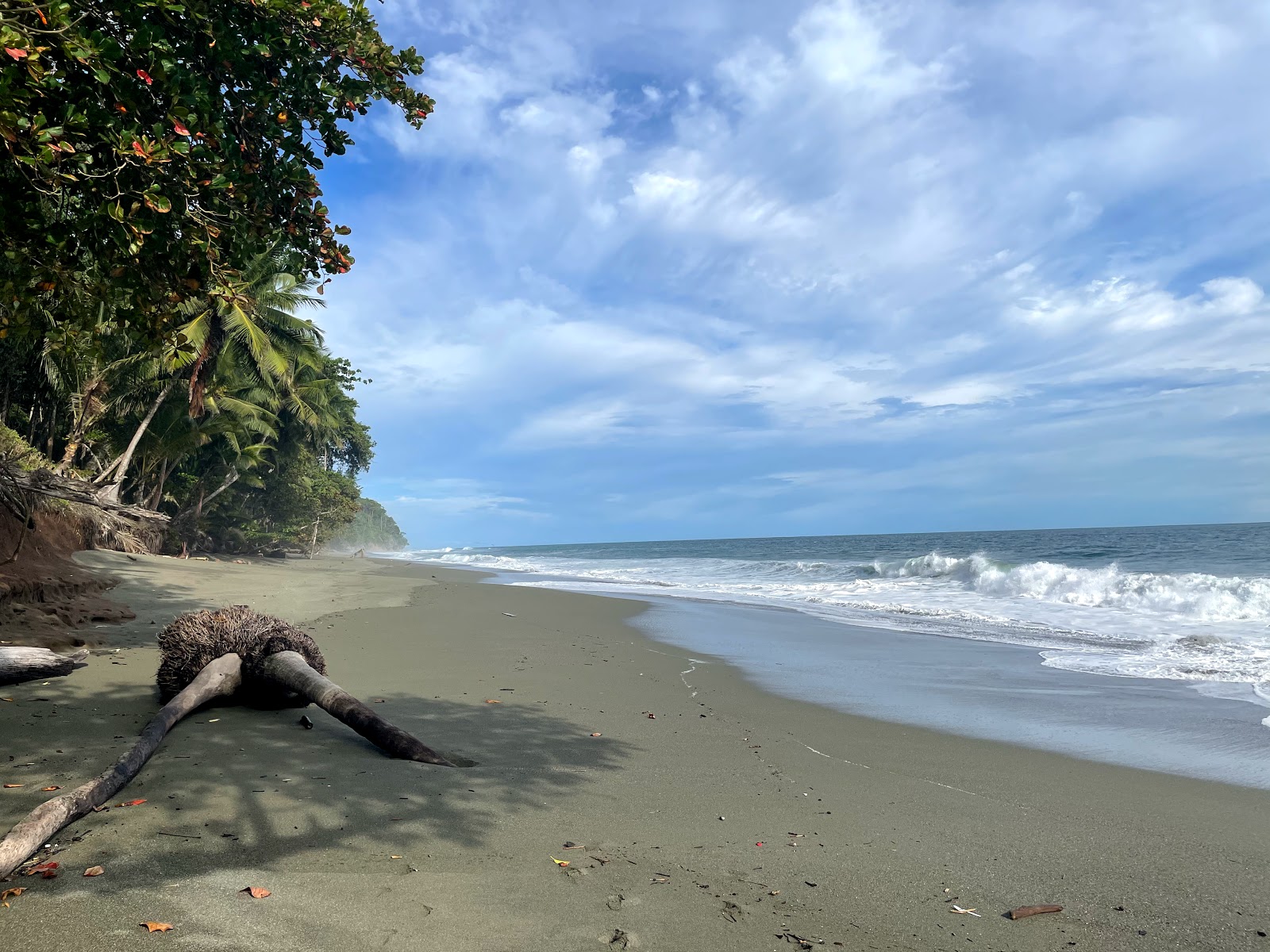 Foto di Playa Matapalo con abbastanza pulita livello di pulizia