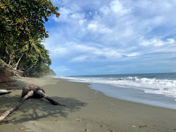 Foto di Playa Matapalo con abbastanza pulita livello di pulizia