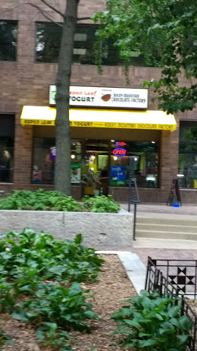 Tourist Attraction «Pedestrian Mall», reviews and photos, 201 Dubuque St, Iowa City, IA 52240, USA