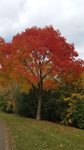 Park «Skokie Northshore Sculpture Park», reviews and photos, McCormick Blvd, Skokie, IL 60076, USA