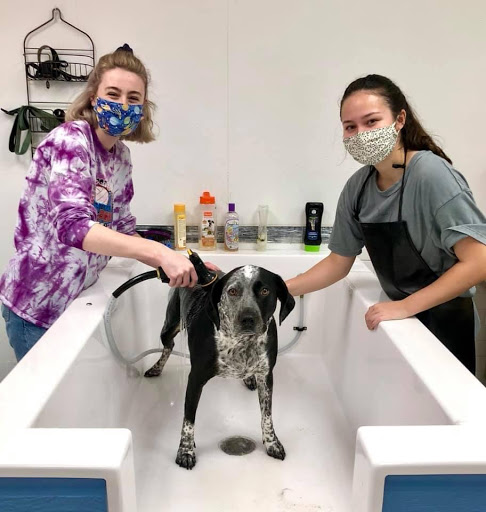 Pet Supply Store «Pet Wants», reviews and photos, 9486 S Union Square, Sandy, UT 84070, USA