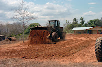 TA Land Clearing Pros