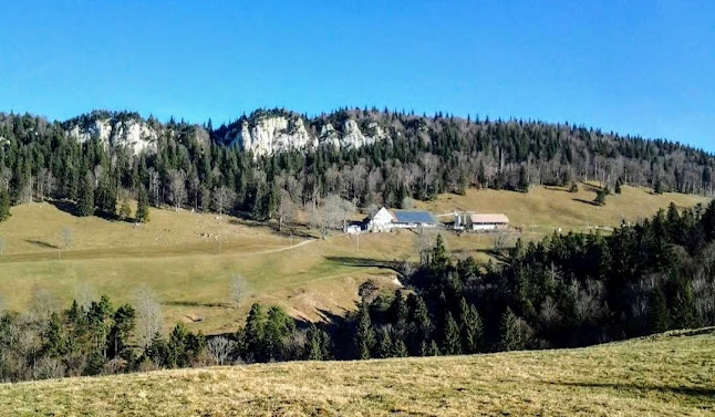 Hinter Weissenstein - Grenchen