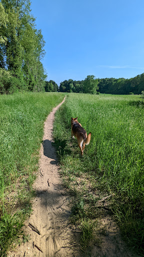 Nature Preserve «Al Sabo Land Preserve», reviews and photos, 6310 Texas Dr, Kalamazoo, MI 49009, USA