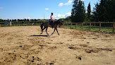 Les Écuries du Cheval d'Argent Barbentane