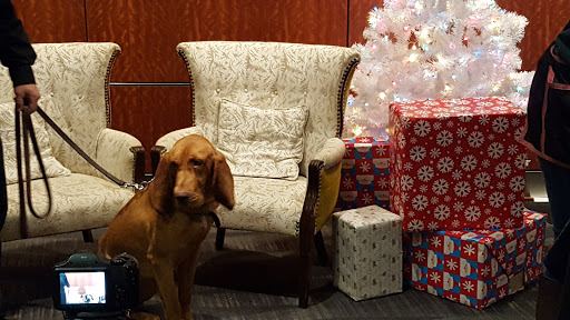 Performing Arts Theater «DeVos Performance Hall», reviews and photos, 303 Monroe Ave NW, Grand Rapids, MI 49503, USA