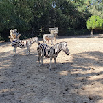 Photo n° 5 de l'avis de Christophe.u fait le 19/07/2023 à 22:15 pour Zoo de La Palmyre à Les Mathes