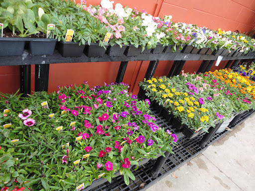 Lumber Store «Sutherlands Lumber», reviews and photos, 311 W 72nd St, Kansas City, MO 64114, USA