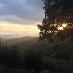 Photo n°7 de l'avis de Debra. fait le 15/06/2018 à 06:25 sur le  Forestarìa Azienda Agricola - Farm & B&B à Valgiano