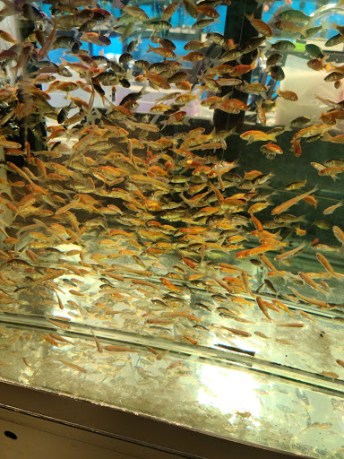 Pet Supply Store «Petco Animal Supplies», reviews and photos, 1960 Edinboro Rd, Erie, PA 16509, USA