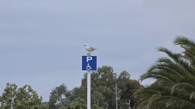 Comments and reviews of Caroline Bay