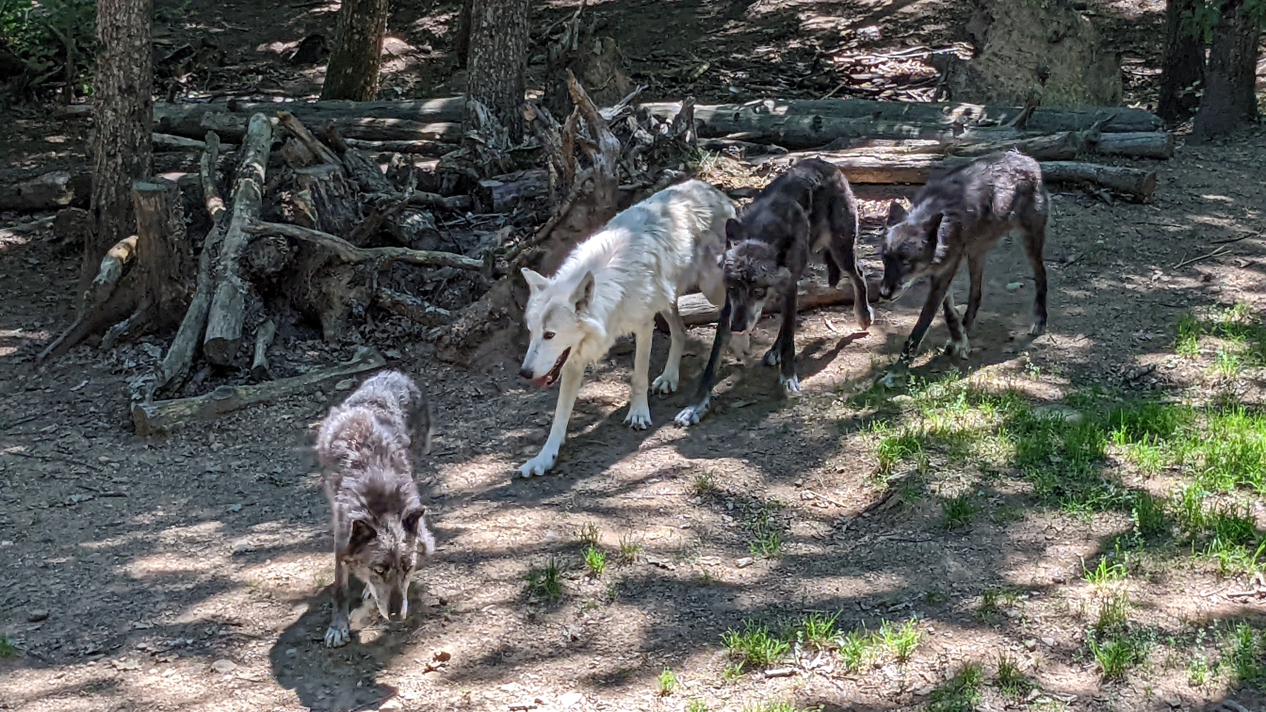 Photo n° 32 de l'avis de Patrice.a fait le 05/07/2022 à 18:27