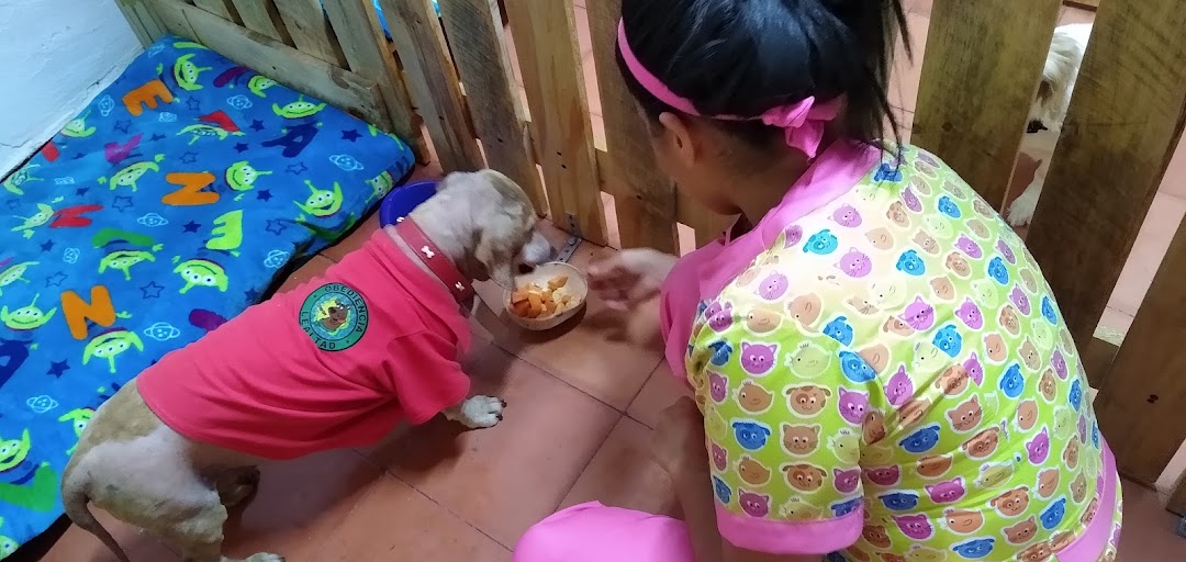 Los Regalitos de Mile