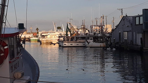 Museum «Texas Seaport Museum», reviews and photos, 2100 Harborside Dr, Galveston, TX 77550, USA