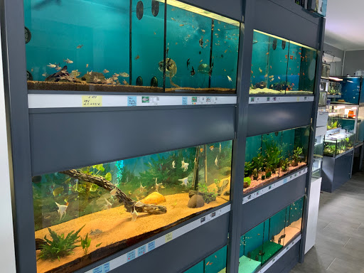 Michael’s Zierfischzucht unter Neu-Eichenberg, 