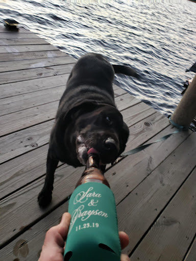 Pet Supply Store «Petco Animal Supplies», reviews and photos, 1704 US Hwy 27 S, Sebring, FL 33870, USA