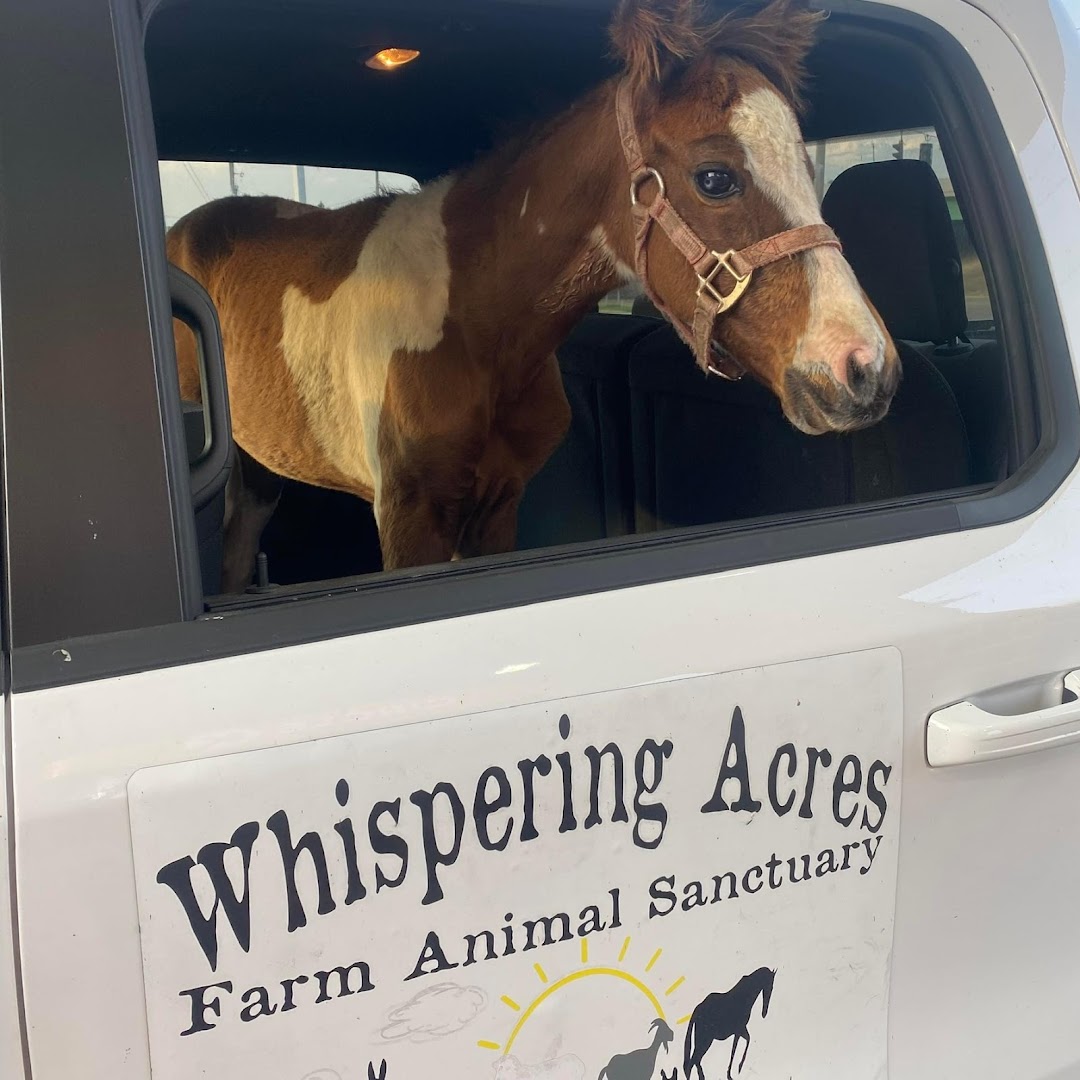 Whispering Acres Farm Animal Sanctuary