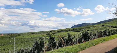 Vignoble des 2 lunes à Wettolsheim