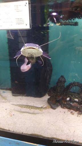 Shopping Mall «Cromwell Field Shopping Center», reviews and photos, 7383 Baltimore Annapolis Blvd, Glen Burnie, MD 21061, USA