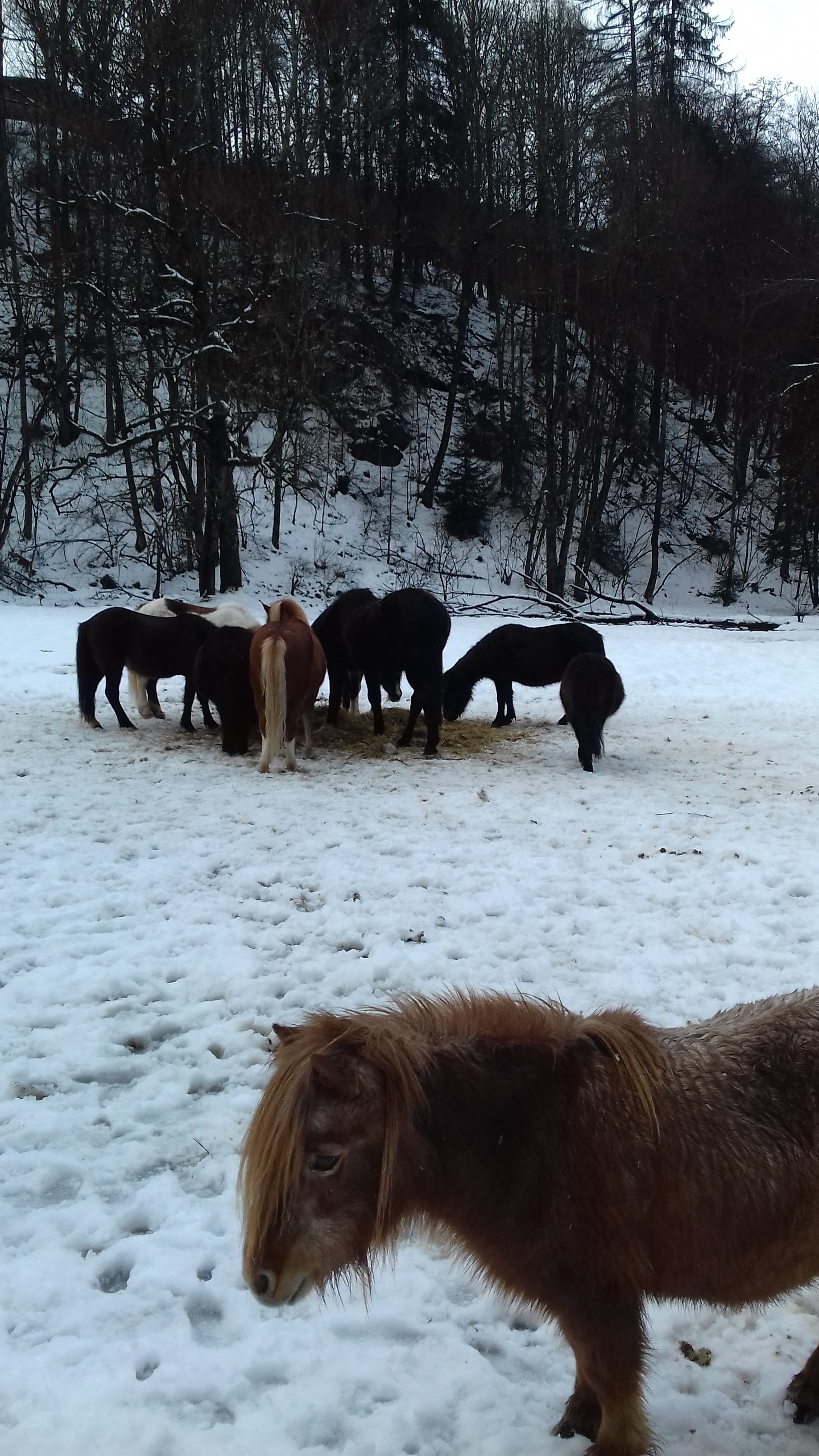 Photo n° 2 de l'avis de Nicky. fait le 19/01/2018 à 16:45