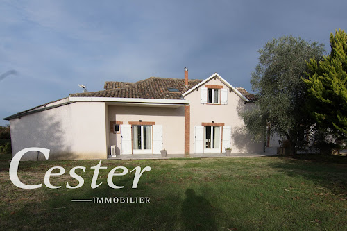 Agence immobilière Cester Immobilier L'Isle-Jourdain