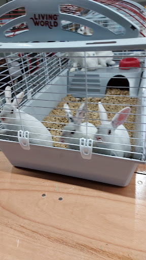 Tropical Fish Store «Tropi-Quatics Pet Center», reviews and photos, 337 S Main St, Lombard, IL 60148, USA