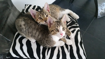 VetTrust Kleintierpraxis Münchenstein (ehem. Uehlinger)