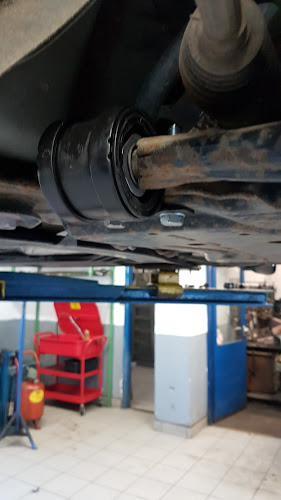 Duna Motor Kft. - Autókereskedő