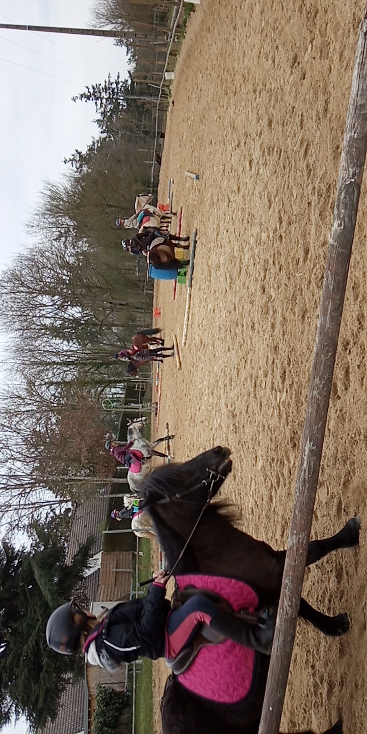 Photo n° 1 de l'avis de Cavalière.' fait le 30/06/2019 à 18:26