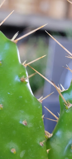 Home Improvement Store «The Home Depot», reviews and photos, 1510 Ring Rd, Elizabethtown, KY 42701, USA