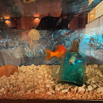 Photo n°8 de l'avis de Mony.i fait le 29/08/2023 à 22:28 sur le  La Corte dei Ghiottoni “cucina mediterranea” à Bologna