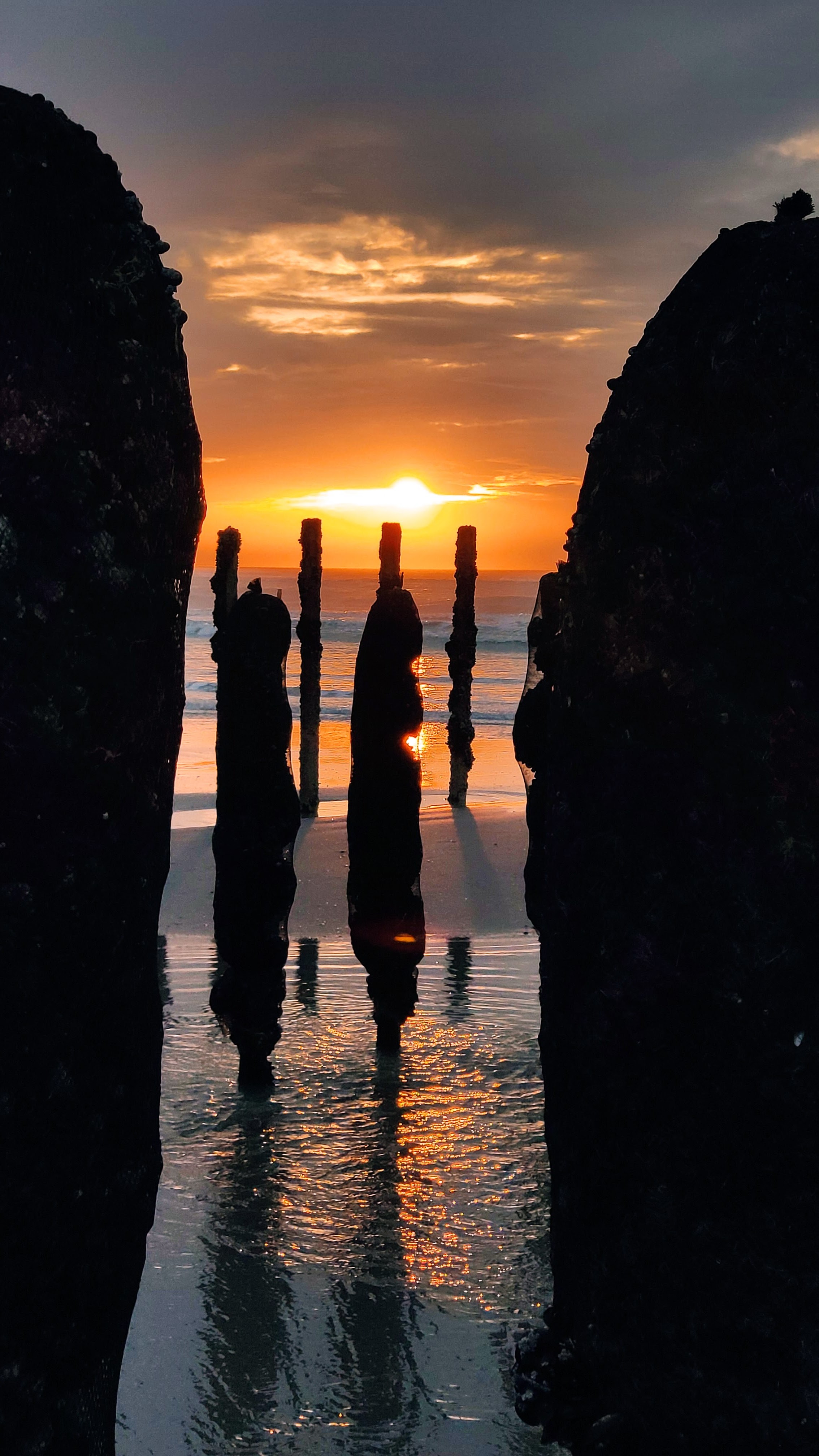 Photo n° 1 de l'avis de Vince.e fait le 01/01/2022 à 17:32