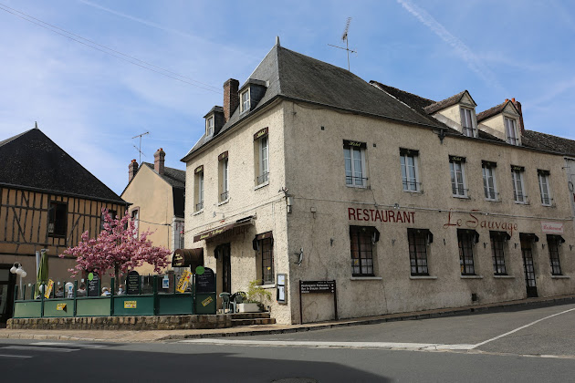 Photo hôtels Hôtel et Restaurant - Le Sauvage 45220 Château-Renard