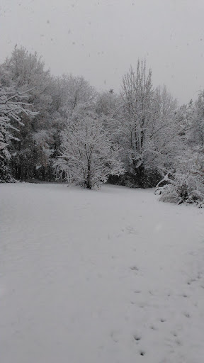 Golf Course «Meadow Lakes Golf Course», reviews and photos, 383 Adams Rd, Cedartown, GA 30125, USA