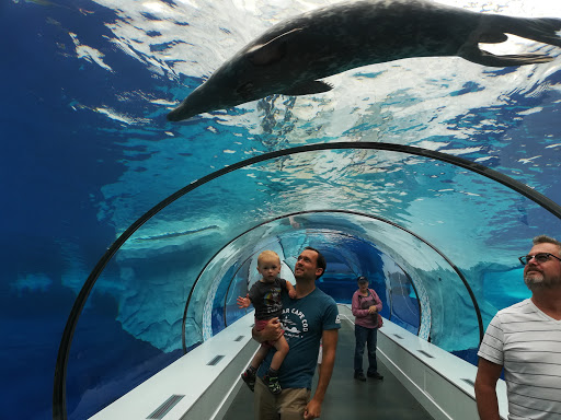 Zoo «Detroit Zoo», reviews and photos, 8450 W 10 Mile Rd, Royal Oak, MI 48067, USA