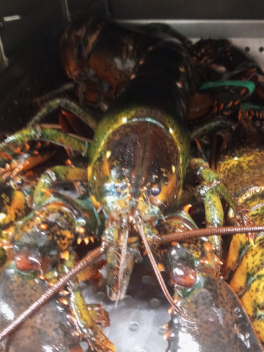 Supermarket «Big Y», reviews and photos, 1180 Thorndike St, Palmer, MA 01069, USA