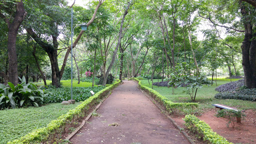 Health's Park