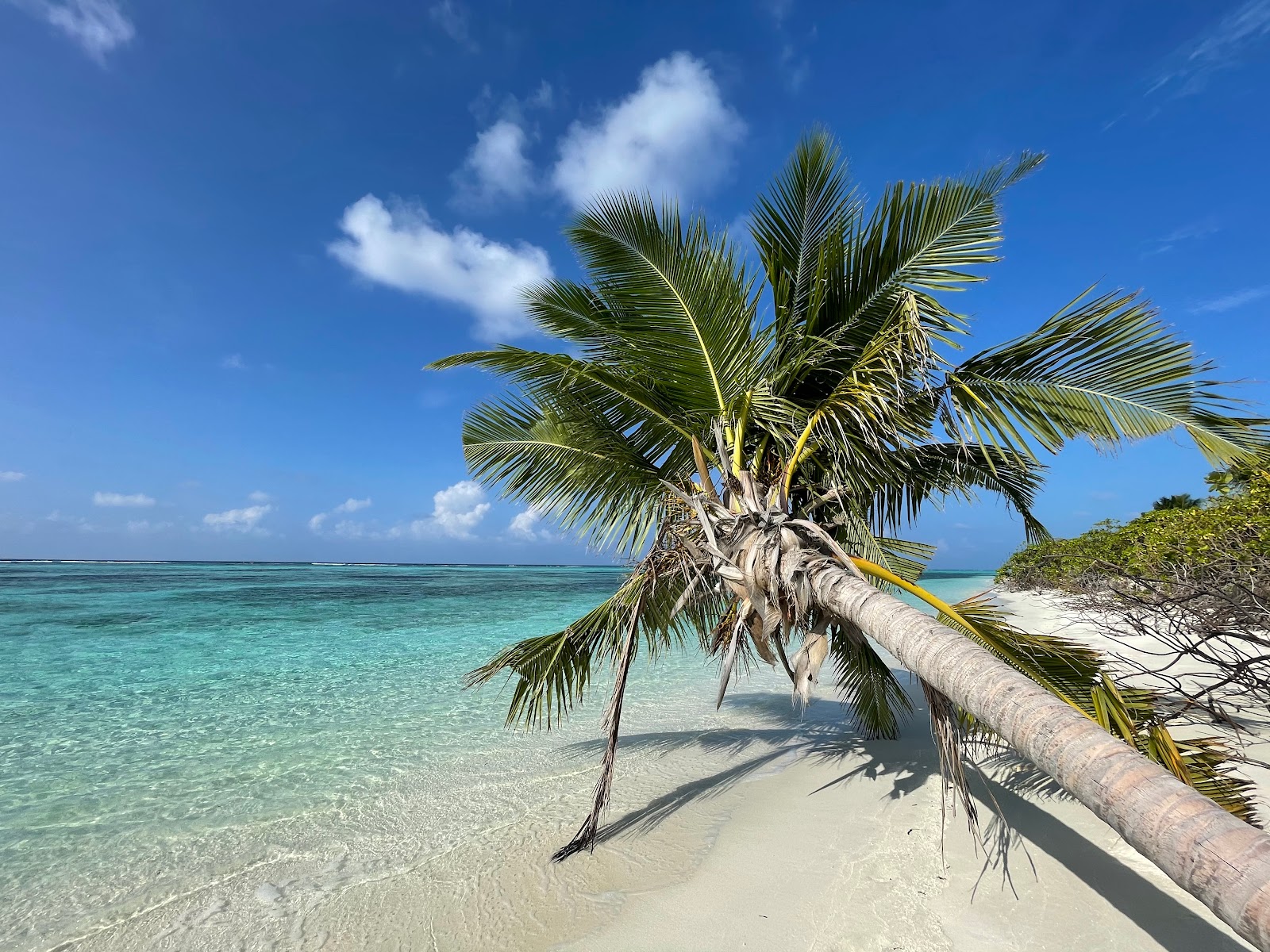 Foto von Munyafushi Beach wilde gegend