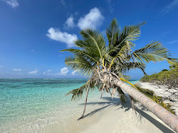 Photo de Munyafushi Beach zone sauvage