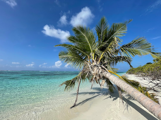 Munyafushi Beach