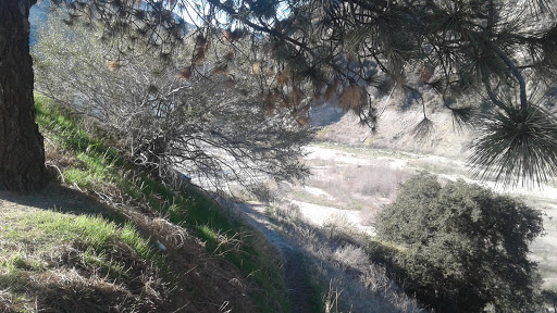 Movie Theater «AMC Universal CityWalk 19 with IMAX (Los Angeles)», reviews and photos, 100 Universal City Plaza, Universal City, CA 91608, USA