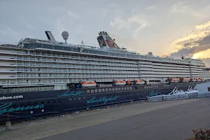 Marine Port Kagoshima large cruise ship docks image