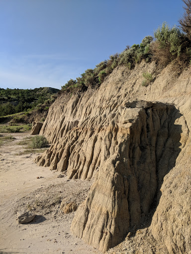 National Park «Theodore Roosevelt National Park», reviews and photos