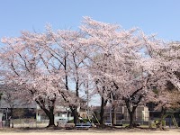 仲町公園