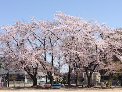 仲町公園