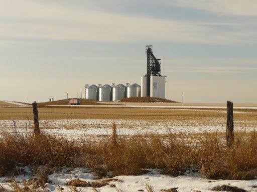 Paterson Grain
