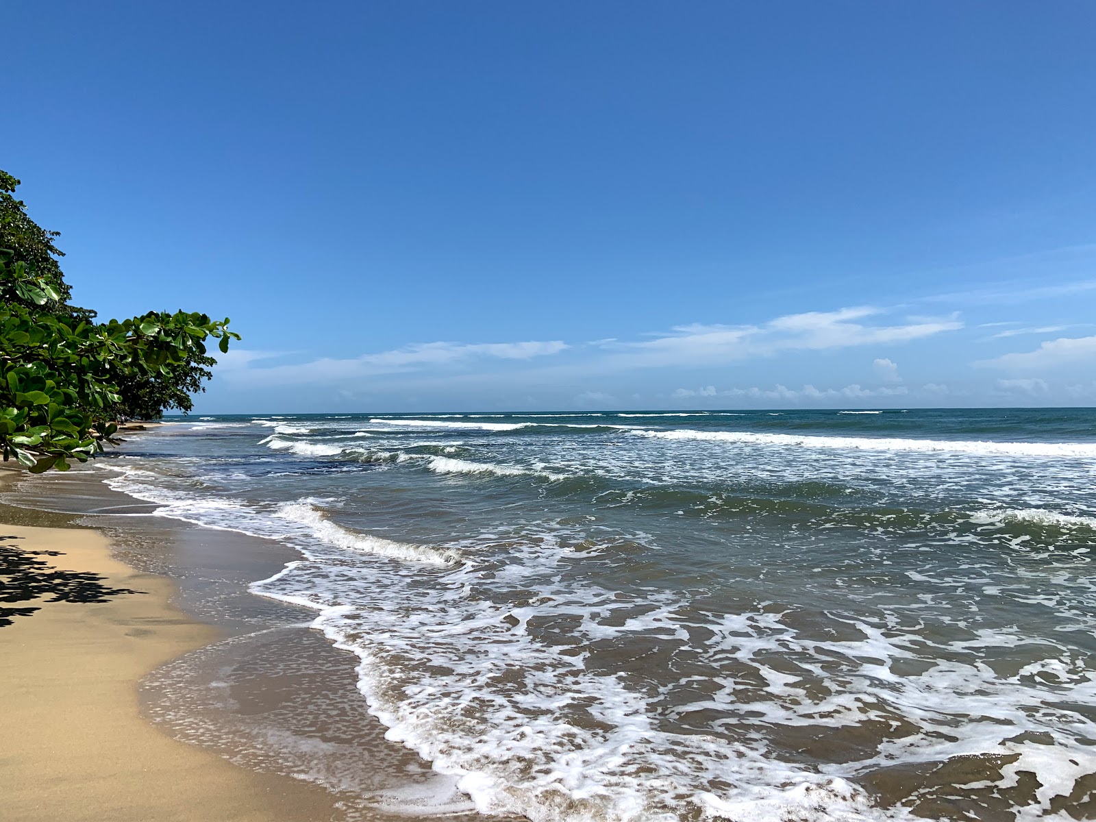 Foto di Escondida beach ubicato in zona naturale