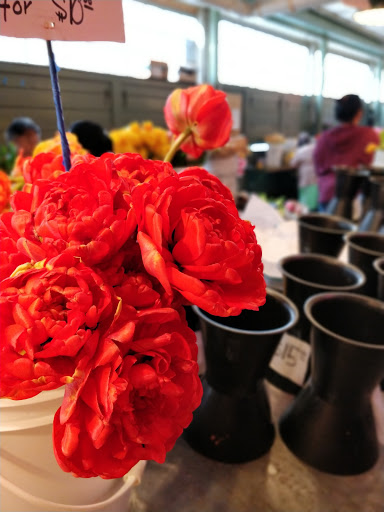 Florist «City Enchanted Gardens Florist», reviews and photos, 2246 W Taylor St, Chicago, IL 60612, USA