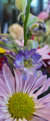 Florist «Tommy Austin Florist», reviews and photos, 10730 E Foothill Blvd, Rancho Cucamonga, CA 91730, USA